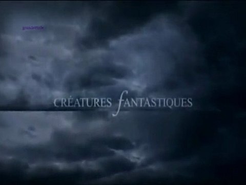 ombres de la foret_créatures fantastiques S01E03