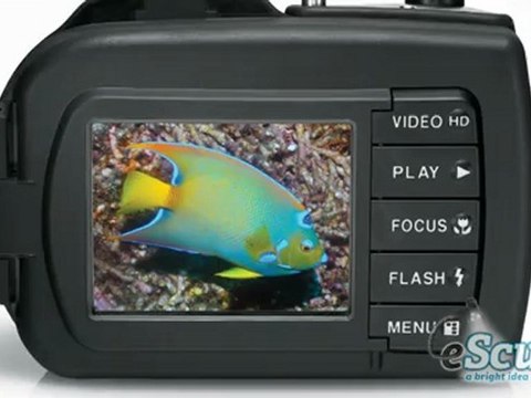 Sealife DC1400 14 Megapixel Underwater Camera and HD Video Pro Set with Digital Pro Flash