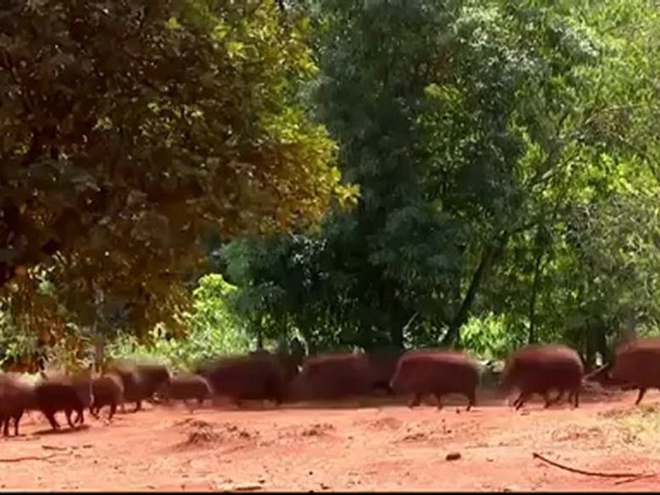 Globo Repórter  11_05_12  Águas Do Paraná (HD)