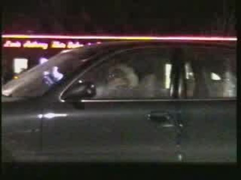 Jackass - Stupid Stunts 2