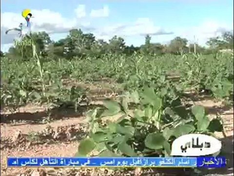 DABALAYE ARABE DU 05 SEPTEMBRE 2012 SUR TOL