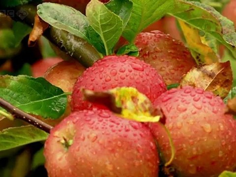 Raymond Blanc's Kitchen Secrets S01E03 Apples