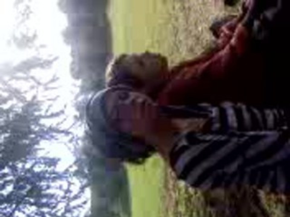 MOV00003
