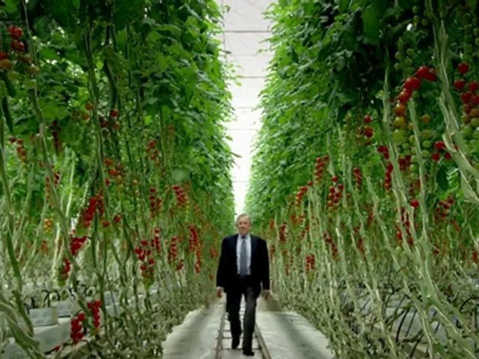 Raymond Blanc's Kitchen Secrets S01E08 Tomatoes