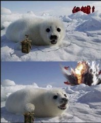 라이브스코어〉→→OK5599.NET←←〈라이브스코어