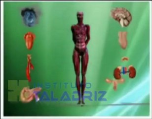 CAPITULO 13. ENDOCRINO. TIROIDES. ANTICONCEPTIVOS.