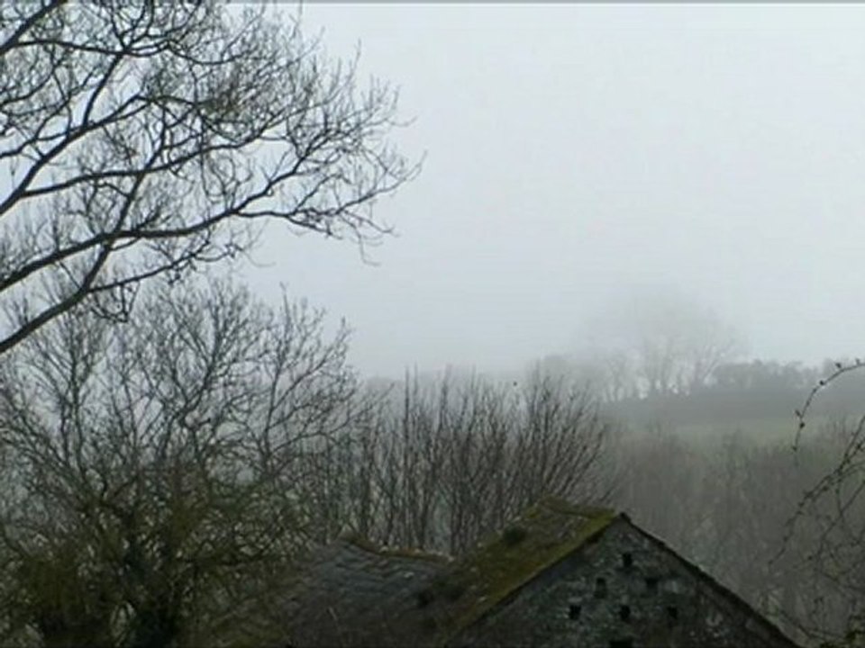 Rain Song