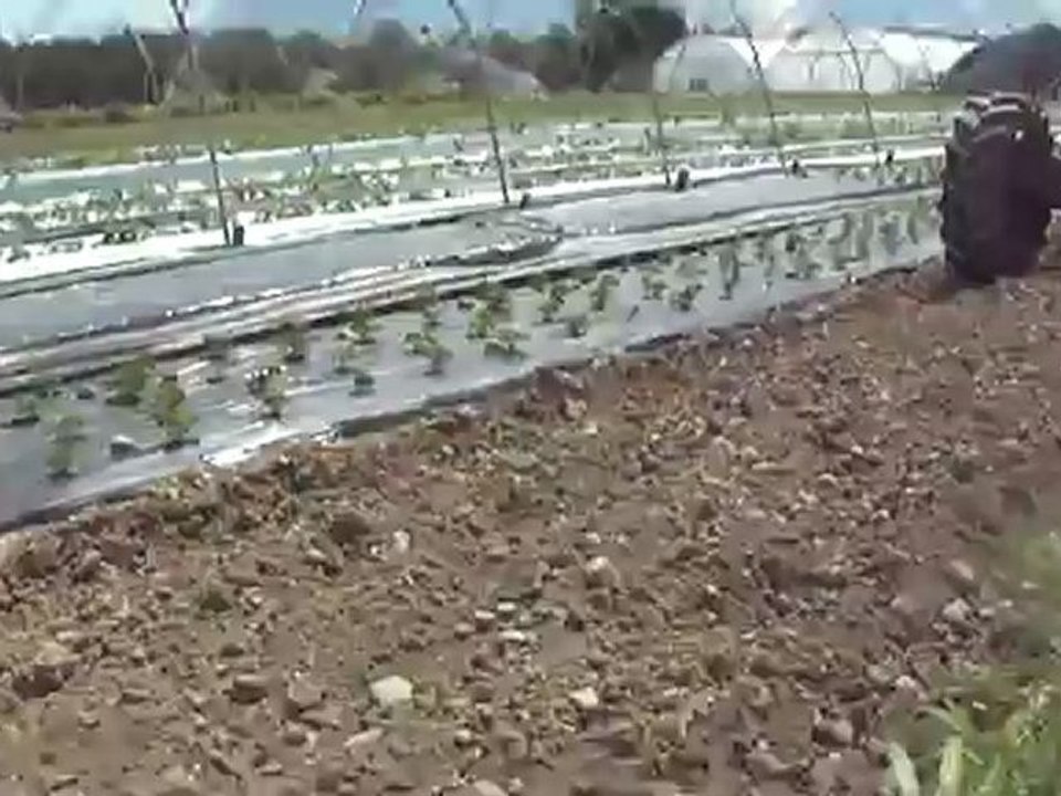 Cultibutte en action