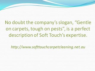 Take the Strain out of Stained Carpets