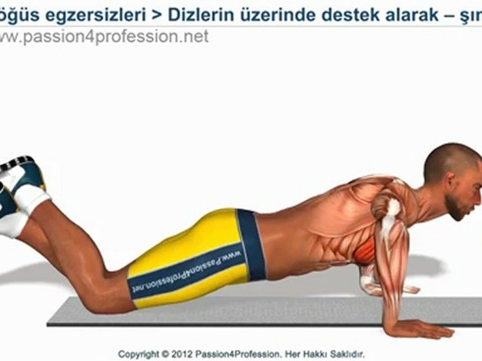 Göğüs egzersizleri: Dizlerin üzerinde destek alarak - şınav