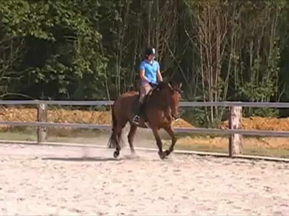 Ursel Saint-Clair (séance du 4 septembre 2012)