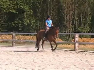 Ursel Saint-Clair (séance du 4 septembre 2012)