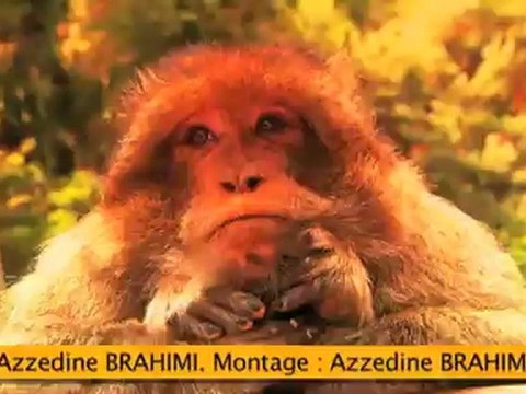 Un été chez nous - ep21