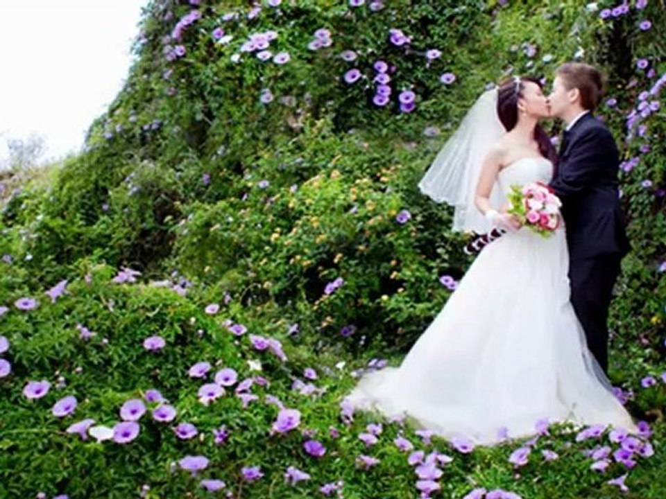 Demo Transitions Wedding