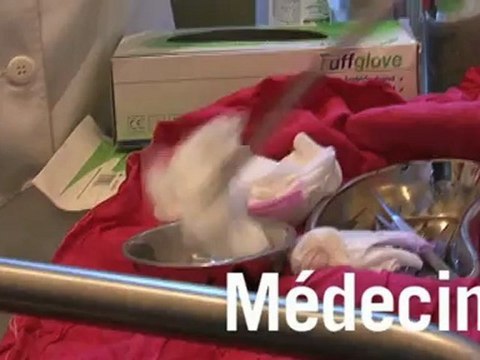 Missions de volontariat en Tanzanie : humanitaire, enseignement et médecine