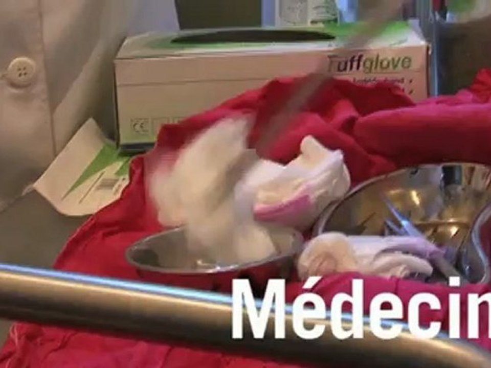 Missions de volontariat en Tanzanie : humanitaire, enseignement et médecine