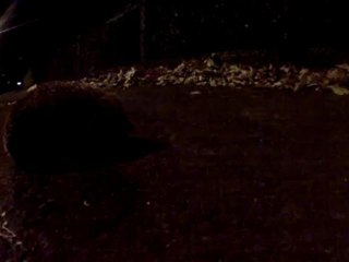 il a traversé la route sans même me regarder