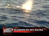 DENİZ ALTI SANDILAR BALİNA ÇIKTI_KANALF