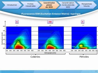 Presentation FROGs 2012 - O Hanser