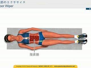 ローラー腹筋 - 筋トレ腹筋 - 腹筋鍛え方 - トレーニング 腹筋 Floor Wiper