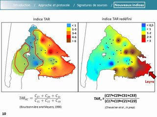 Presentation FROGs 2012 - N Chevalier