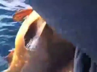 private rome tour guides