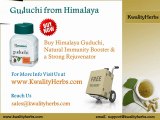 Buy Guduchi Himalaya Online at the Lowest Price at KwalityHerbs Online Herbal Store
