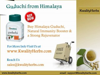 Buy Guduchi Himalaya Online at the Lowest Price at KwalityHerbs Online Herbal Store