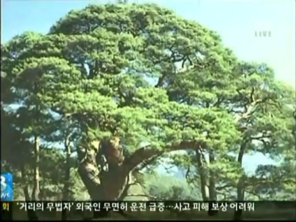 SBS News 8, September 5, 2012