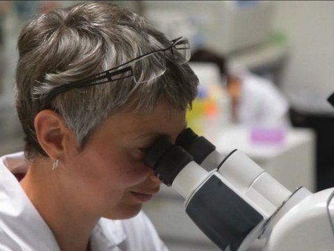 Nantes : nouveaux horizons thérapeutiques grâce aux cellules souches