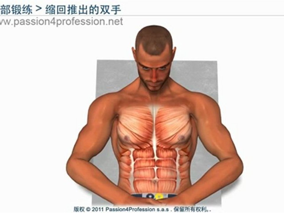 腹部练习