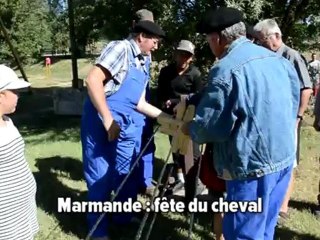 Marmande: fête du cheval