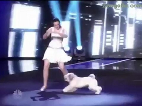 VIDEO: PERFORMS: Olate Dogs - America's Got Talent 2012