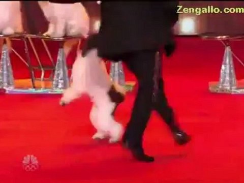 VIDEO: Video Olate Dogs Among Best in Show on America's Got Talent