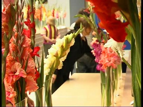 Pantvzinios 20120903