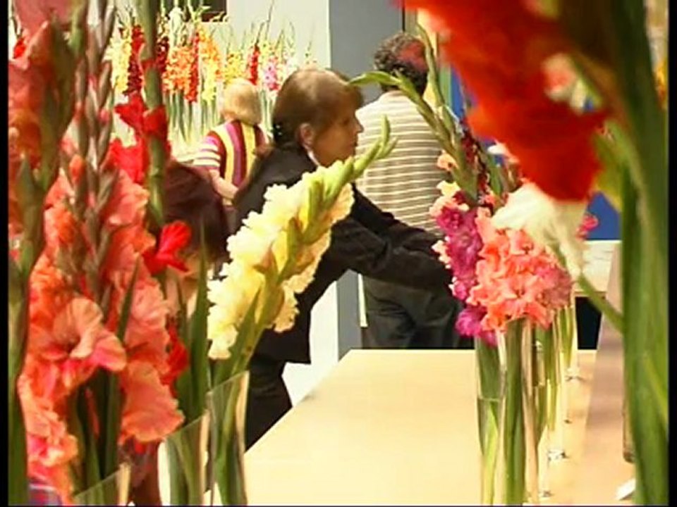 Pantvzinios 20120904