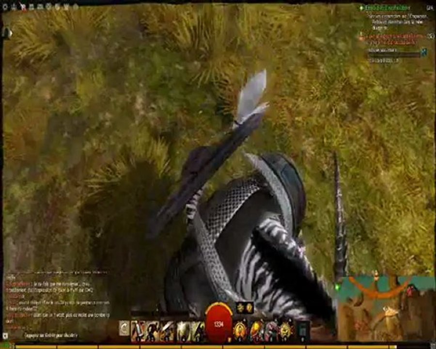 Guild Wars 2, un jeu de plates-formes? ep. 1