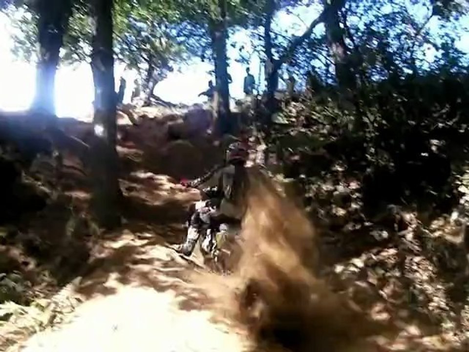 BUXIA 2012