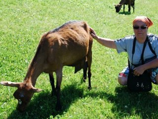 nous au col du brabant .. la chévrerie
