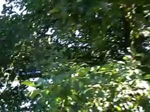 pornic val st.martin