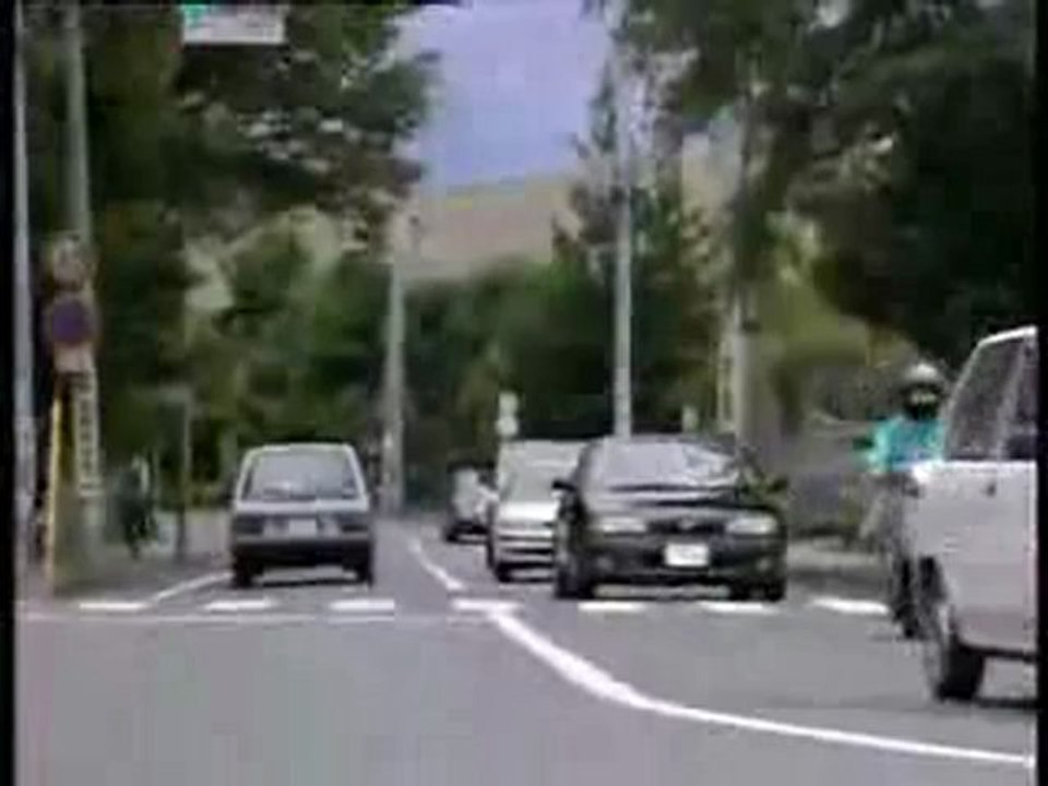 Un corbeau intelligent