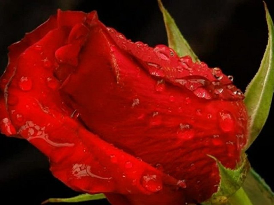 SESLİMANKEN.COM ŞİİRMİ OKUMAK İSTIYORSUN BUYRUN SİTEMIZDE CANLİ MUZIK VE ŞİİR ODASINDAN CANLİ ŞİİR OKUMA FIRSATI SUNUYORUZ. SESLİMANKEN.COM FON MUZIKLERI.! enstrumantal fon müzikleri 70 - Vidéo Dailymotion