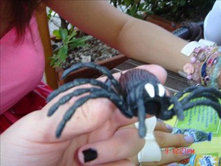 Mestre Comics: Your Ultimate Comic Hub