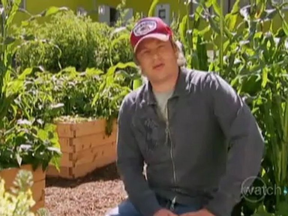 Top 10 Celebrity Chefs