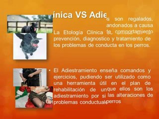 Etología y Entrenamiento En Los Perros