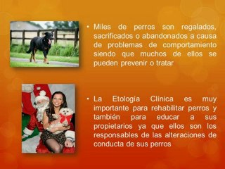 Etología y Educación De Los Perros