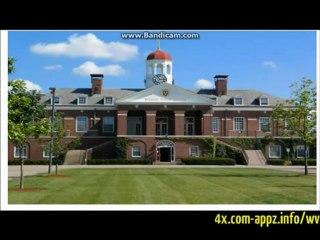 Passive profits with ZERO work... here's how... | WealthVault