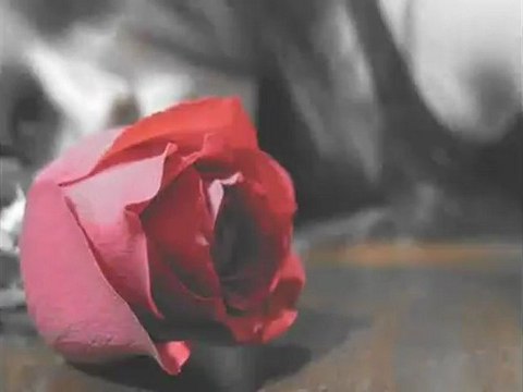 F.A & M.Ş / Her gün ölüme bir adım kala T.T.