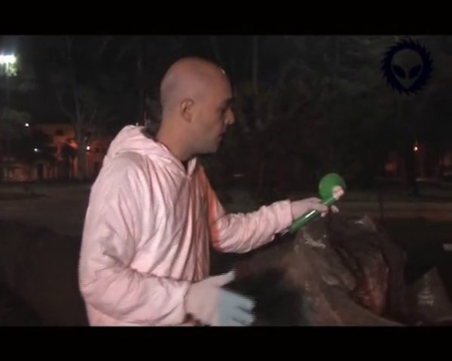 Extraterrestre 100% Real tira árbol en Adrogue Buenos Aires