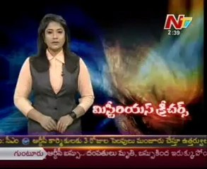 Mystery - Mysterious Creatures-a Special story_01